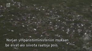 Yle Oddasat: 01.09.2016 15.15