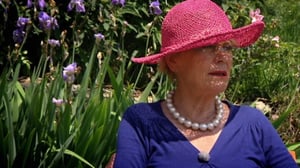 Tie Roomaan: Kaksi pientä elefanttia: 18.11.2016 17.00