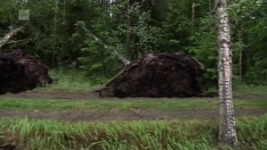 Yle Uutiset selkosuomeksi: 09.06.2016 15.10