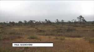 Luonto lähellä (S): 17.10.2016 08.23