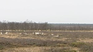 Yle Oddasat: 26.09.2016 15.15