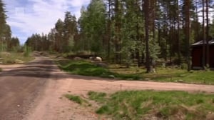 Yle Uutiset selkosuomeksi: 02.11.2016 15.10