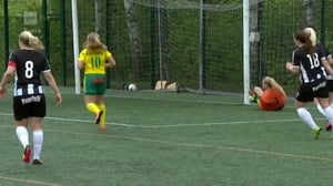 Palloilua: Jalkapalloa: 14.05.2016 16.50