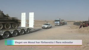 Yle Nyheter TV-nytt: 16.10.2016 19.30