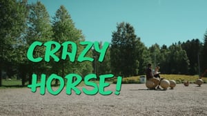 Melonit ja banaanit: Stondis: 29.11.2016 12.00