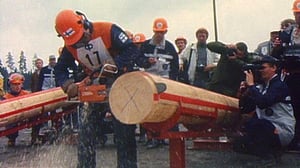 Mestarimetsurit: 03.11.2016 01.00