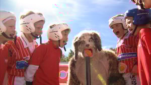 Ota koppi!: 29.06.2016 18.00