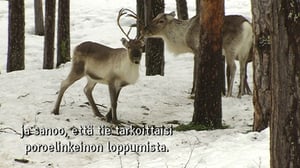 Yle Oddasat: 26.10.2016 15.15