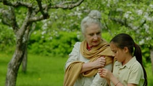 Taikurin jäljillä (S): 16.11.2016 18.30