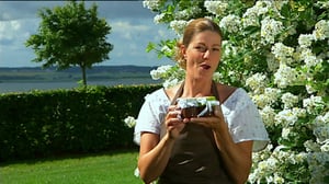 Metten kesäiset jälkiruokaherkut: 10.07.2016 20.52