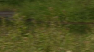 Yle Nyheter TV-nytt: 01.09.2016 19.30