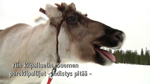 Yle Oddasat: 01.11.2016 15.15