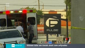 Yle Nyheter TV-nytt: 12.06.2016 17.55