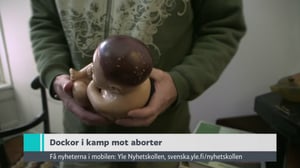 Yle Nyheter TV-nytt: 09.12.2016 19.30