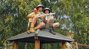 Aarne Alligaattorin musiikkiseikkailu: 06.08.2016 18.24