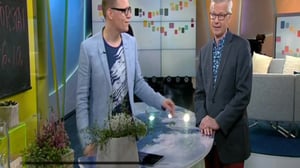 Ylen aamu-tv: Tänään otsikoissa: 06.10.2016 15.20