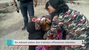 Yle Nyheter TV-nytt: 17.11.2016 19.30