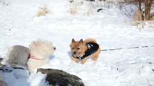 Minä ja Max: 18.09.2016 12.00
