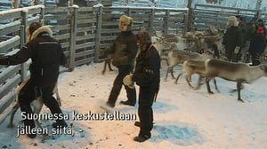 Yle Oddasat: 10.11.2016 15.15