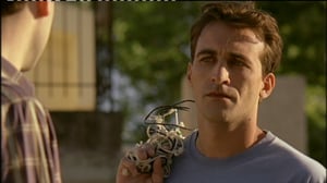 Camorran miehet (16): 06.08.2016 23.20