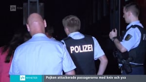 Yle Nyheter TV-nytt: 19.07.2016 17.55