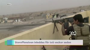 Yle Nyheter TV-nytt: 01.11.2016 19.30