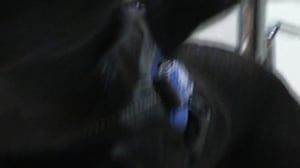 Yle Nyheter TV-nytt: 12.08.2016 19.30