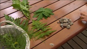 Leikitään: Kesäleikit: 13.06.2016 07.09