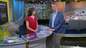 Ylen aamu-tv: Tänään otsikoissa: 03.06.2016 15.20