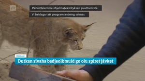 Oddasat: 09.06.2016 20.45