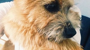 Minä ja Max: 18.09.2016 12.00