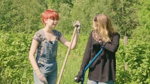 Puhu mummoa: Helppoa kuin heinänteko: 05.12.2016 08.00