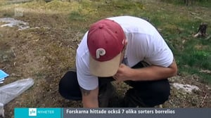 Yle Nyheter TV-nytt: 30.07.2016 17.55