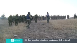 Yle Nyheter TV-nytt: 17.10.2016 17.55