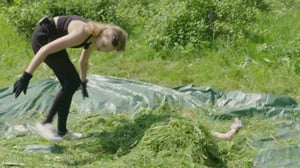 Puhu mummoa: Kuin etsisi neulaa heinäsuovasta: 05.12.2016 08.00