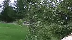 Yle Nyheter TV-nytt: 28.08.2016 17.55