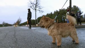 Minä ja Max: 18.09.2016 12.00