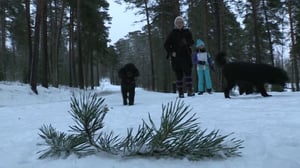 Minä ja Max: 18.09.2016 12.00