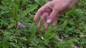 Luonto taiteen lähteenä: 05.12.2016 12.10