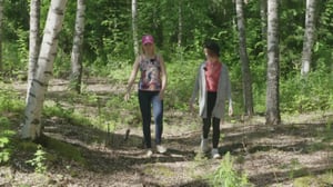 Puhu mummoa: Ei näe metsää puilta: 05.12.2016 08.00