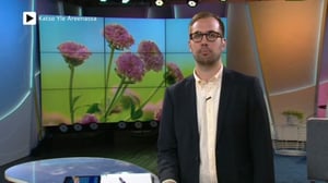 Ylen aamu-tv: Tänään otsikoissa: 11.07.2016 15.15
