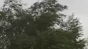 Yle Nyheter TV-nytt: 27.08.2016 17.55