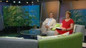 Ylen aamu-tv: Tänään otsikoissa: 22.07.2016 15.15