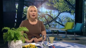 Ylen aamu-tv: Tänään otsikoissa: 09.08.2016 15.16