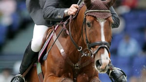 Ratsastusta: Horse Show: 23.10.2016 15.40