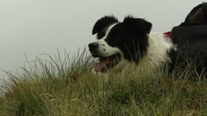 Näin Norjassa: 23.06.2016 20.35