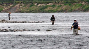 Luontoretkellä: Teno on paras lohijoki: 24.06.2016 10.00