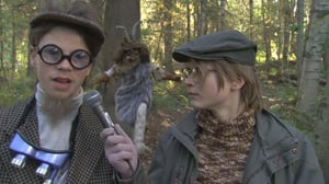 Törmäyskurssi (S): 24.12.2016 12.00