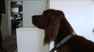 Wilma Vikkelä: 22.09.2016 18.00