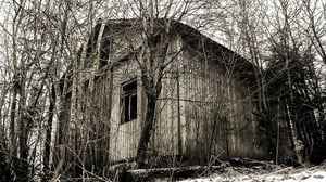 Dok: Autiotalokohtaloita: 29.07.2016 20.30